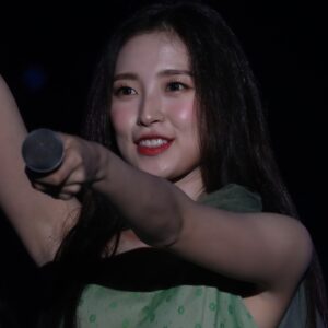 Arin 아린190615 494  pics
data