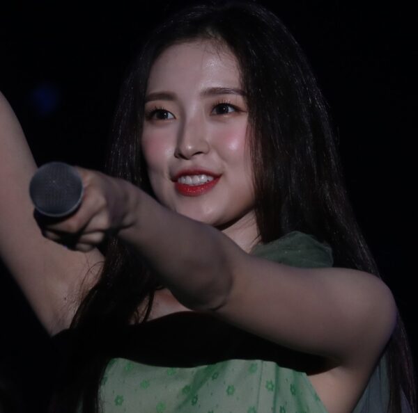 Arin 아린190615 494  pics
data