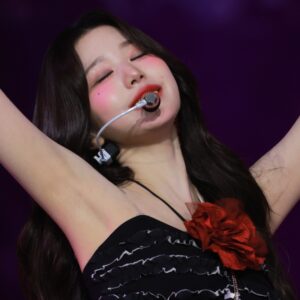 Wonyoung 장원영 沃英 圓榮ウォニョン 240721 data 1,350 files
data
