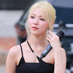 240824 Baek Jiheon data  808