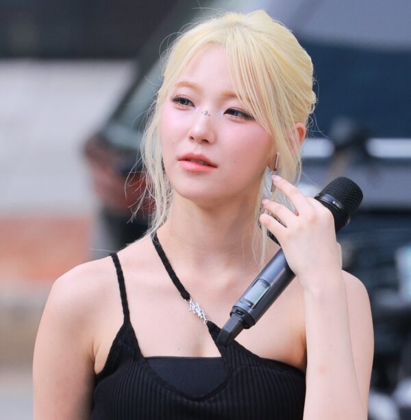 240824 Baek Jiheon data  808