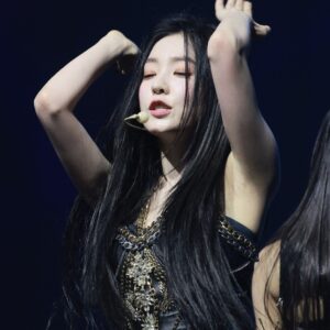 250614 Irene data 3000+ pics 아이린 데이터